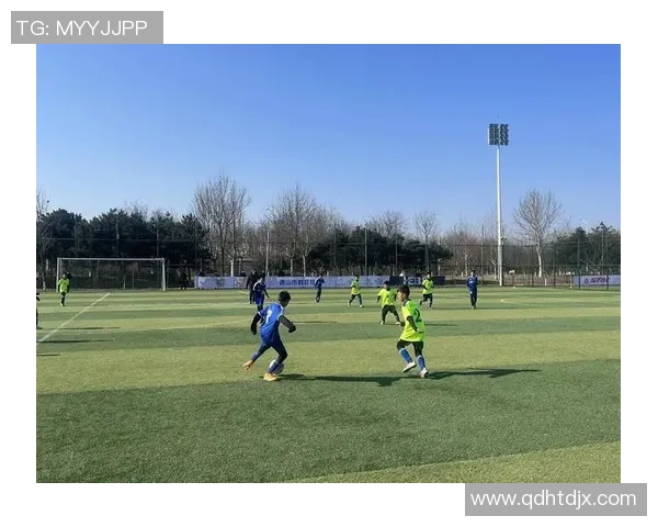 足球打球区的魅力与挑战探索球场上的激情与团队合作精神